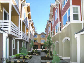 Primary Photo - 5247 Olympic Dr