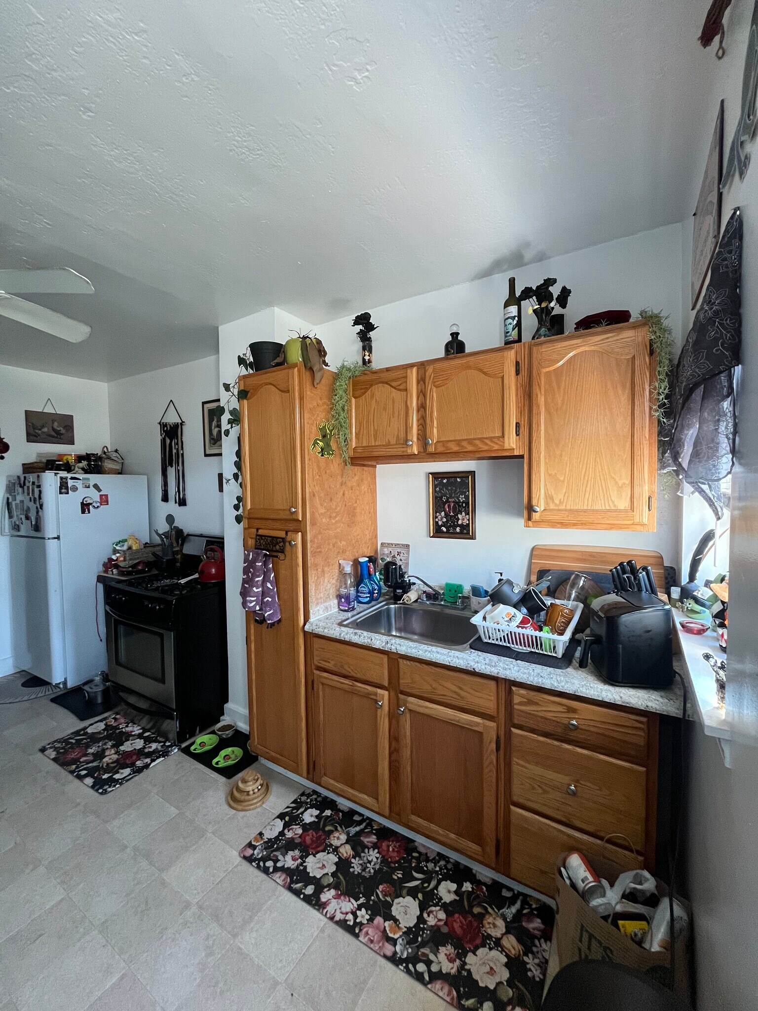 Building Photo - 707 Bunnecke Ave