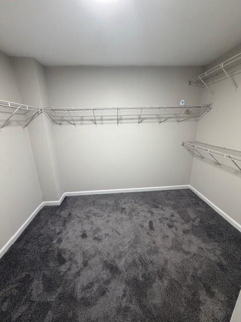 Building Photo - 7098 Cavender Dr SW