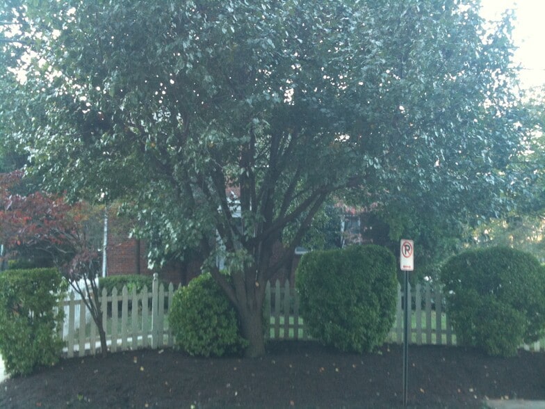 Front Elevation - 1048 N Danville St