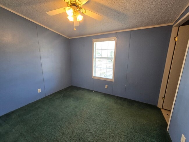 Building Photo - 4 Bed, 2 Bath Ranch in New Hope Area