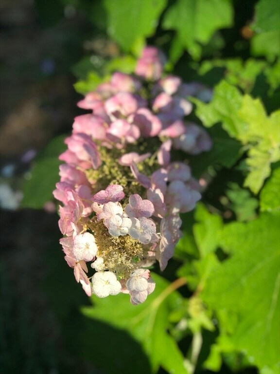 Building Photo - 5 High St Ct