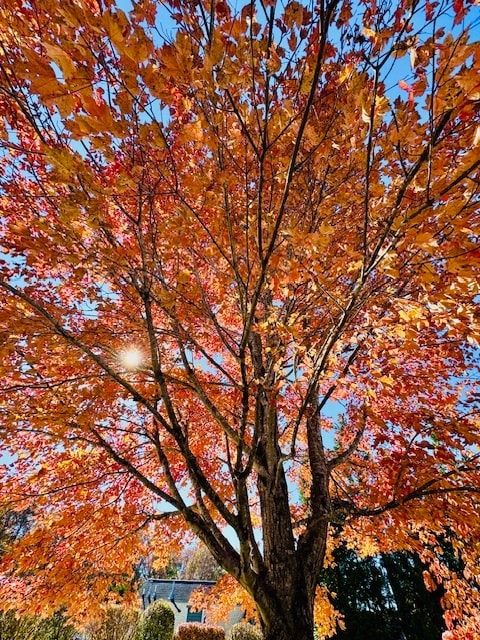 Building Photo - 50 Grove End Rd