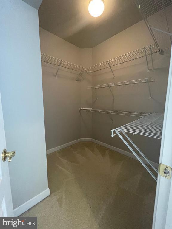 Building Photo - 11451 Fogarty Ct