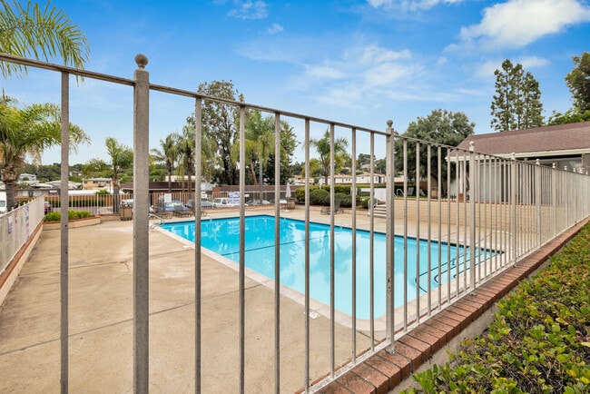 Pool 2 - 4475 Dale Ave
