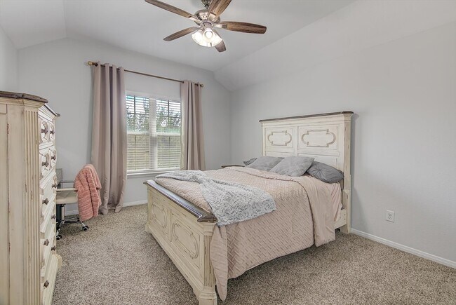 Building Photo - 4203 Bergamo Shores Dr