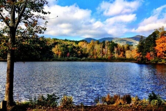 Building Photo - Black Mountain - Newly Renovated 3 Bedroom...