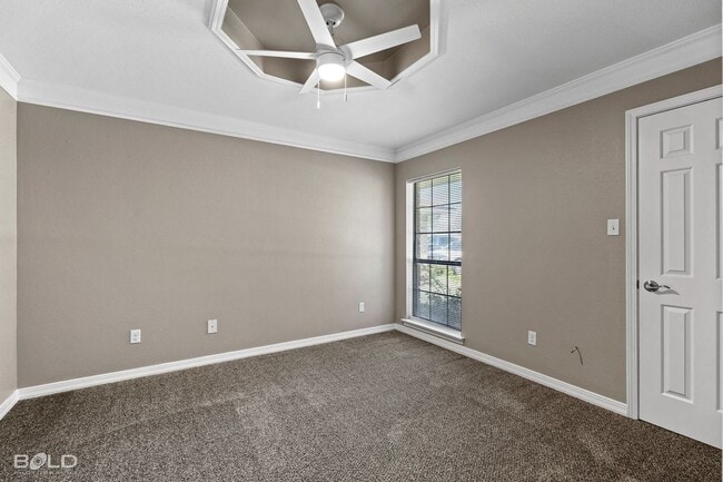 Building Photo - 2542 Spruce Dr