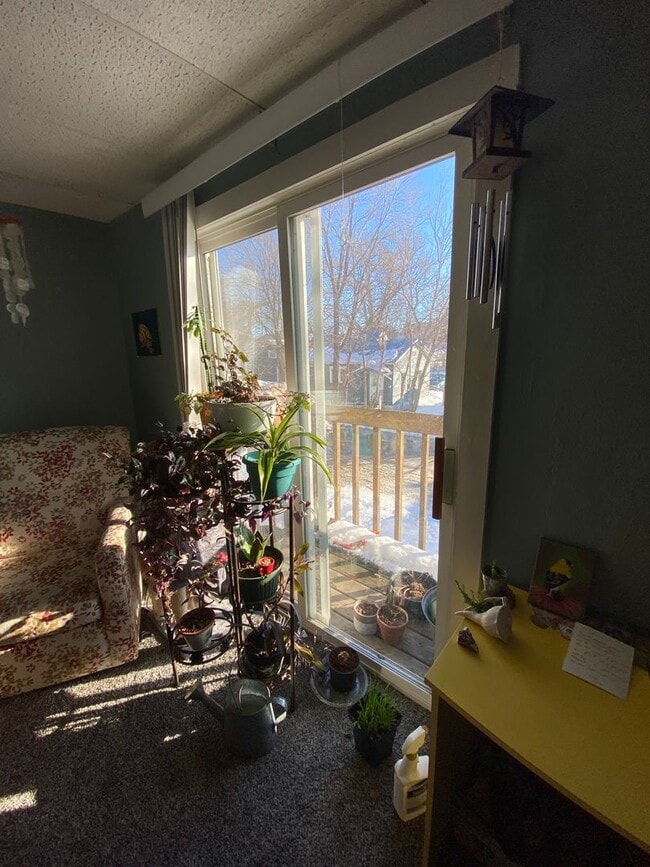 Building Photo - Two Bedroom Apartment Near Campus