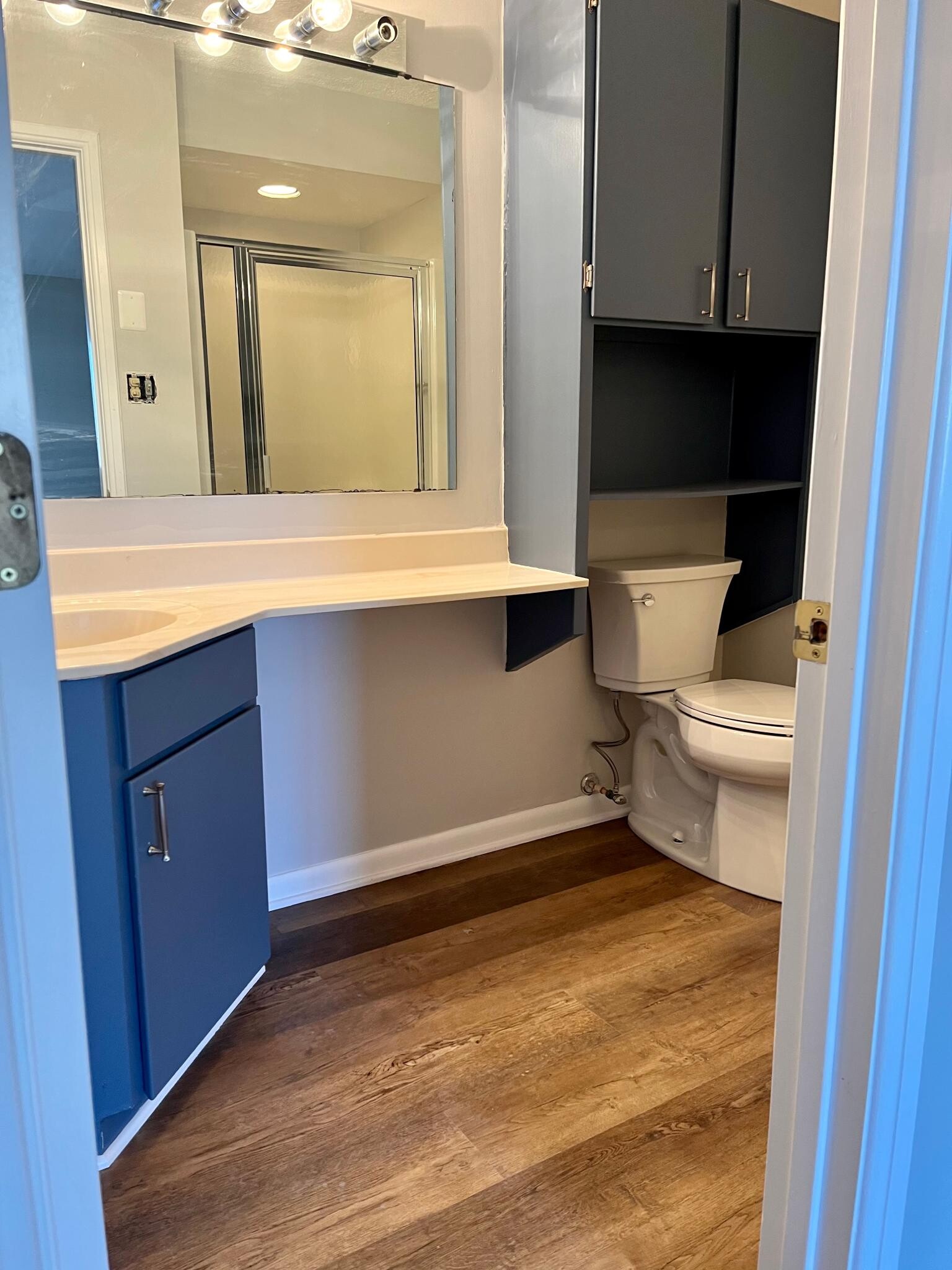 Master bath with shower and storage - 104 Turtle Creek Rd
