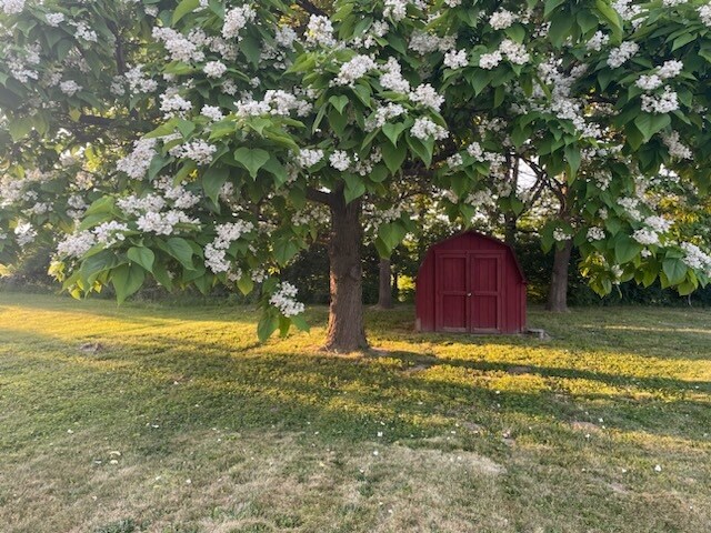 Backyard in spring - 438 Cedar Glen Dr