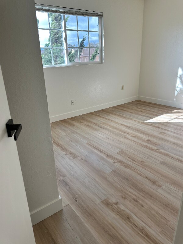 Building Photo - 509 Robert Ct