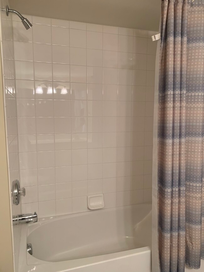 Shower/ Tub in Bath 2 - 1149 Arbor Creek Dr
