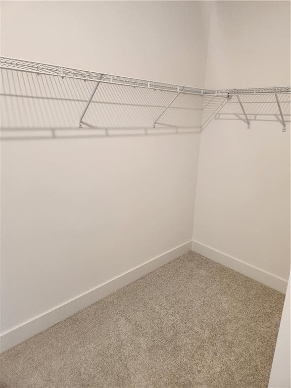 Building Photo - 404 Brodie Dr