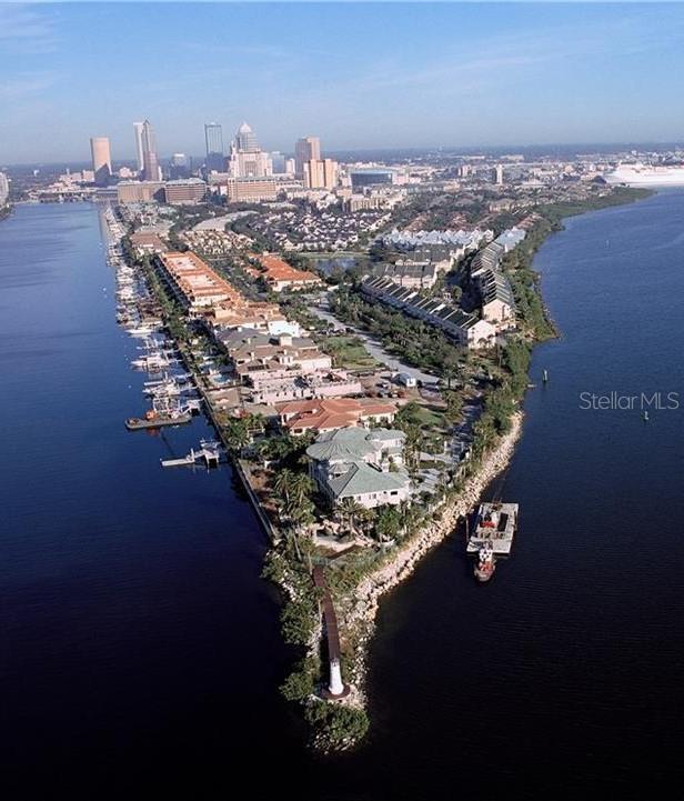 Building Photo - 1000 S Harbour Island Blvd