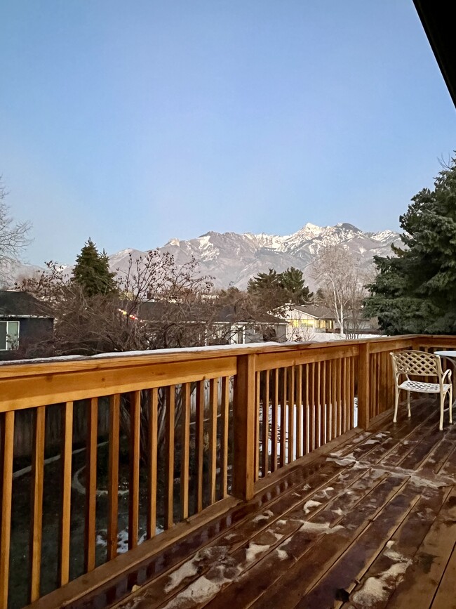 Deck view -closed up - 2455 E Woodchuck Way