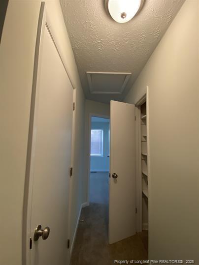 Building Photo - 2103 Coinjock Cir