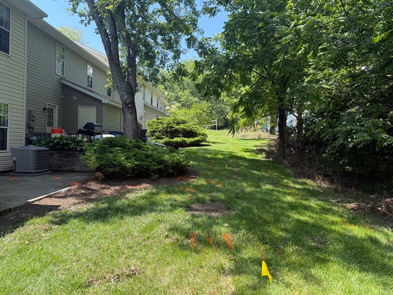 Back yard - 834 Patrick Henry Dr