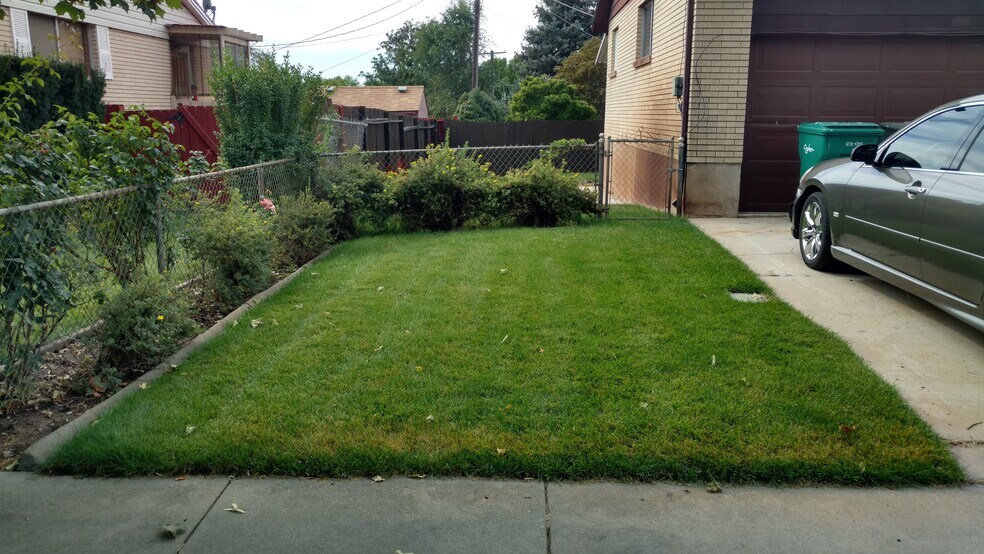 Side yard - 505 Jackson Ave