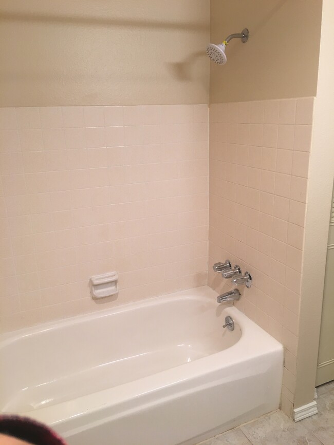 Tiled bath - 19411 56th Ave W