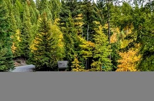 Mountainside driveway - 3000 Ptarmigan Blvd