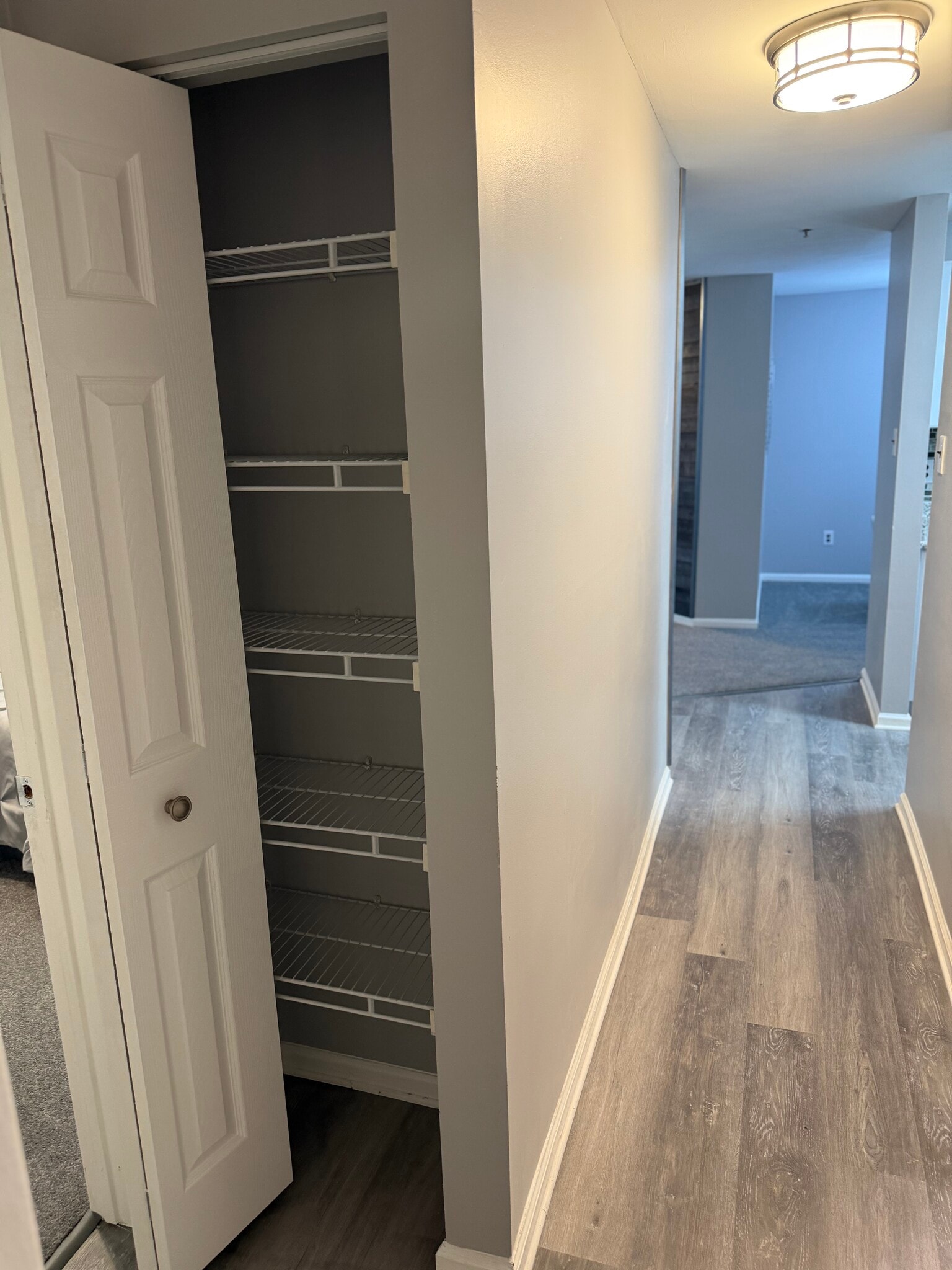 Linen closet (Hall) - 102 Stone Hurst Ct