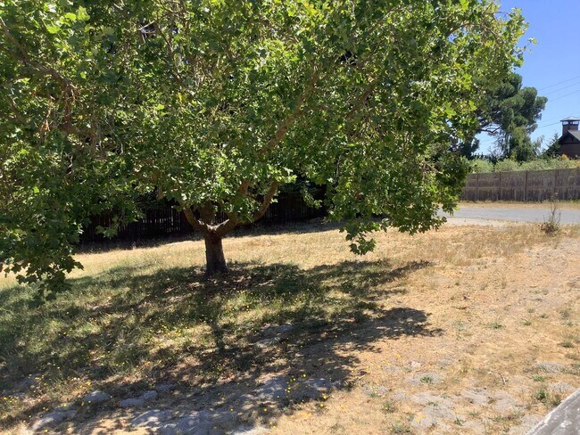 Building Photo - Sebastopol country property