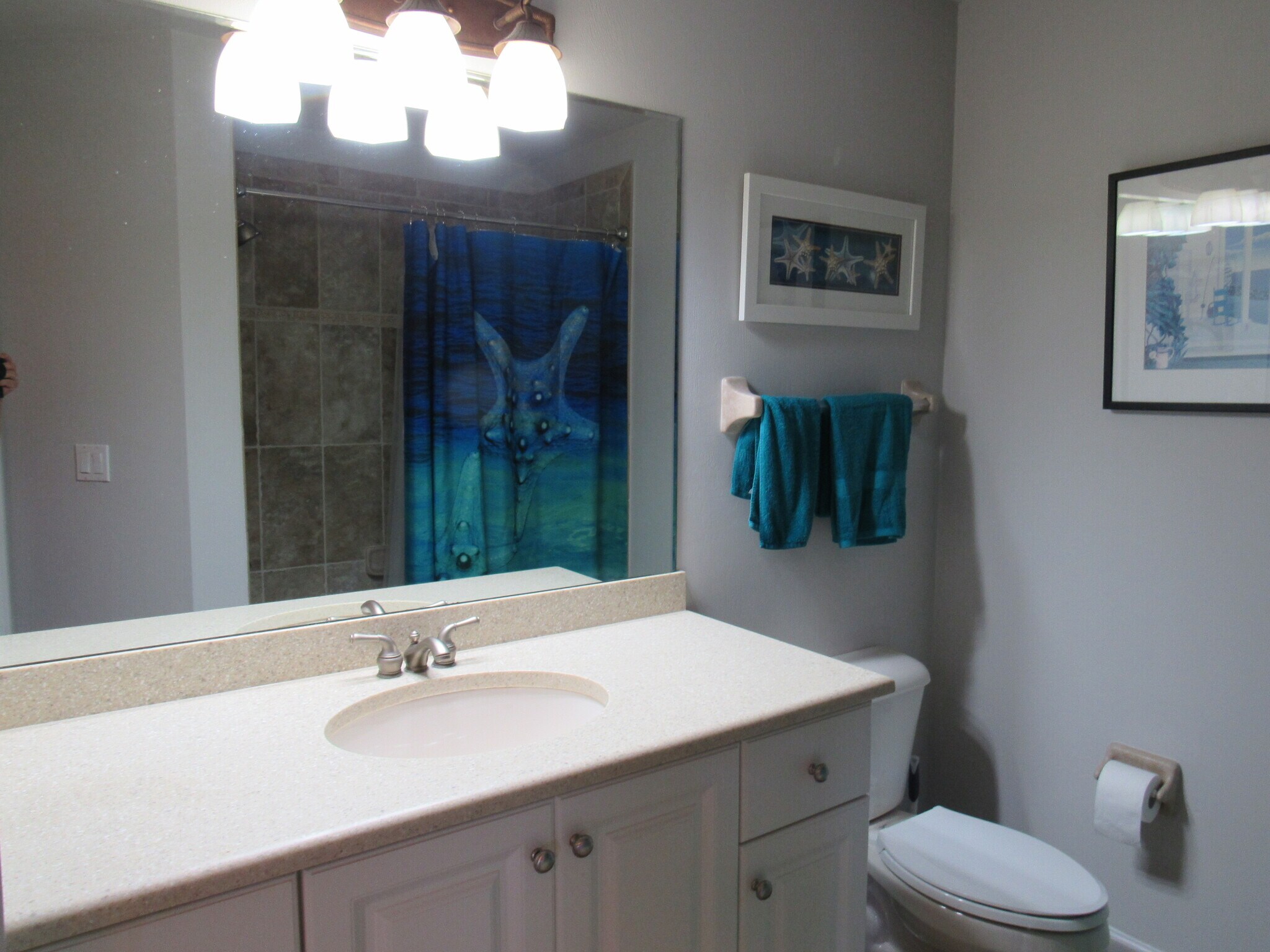 Hall bath - 424 Luna Bella Ln