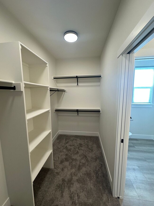 Building Photo - 507 Spaniel Ln