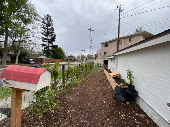 planters waiting for tomato plants - 1223 S Chavez St