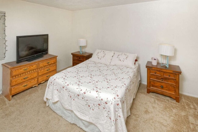 Building Photo - Lots of space for you and your dog!