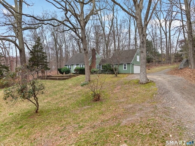 Building Photo - 87 McVeagh Rd