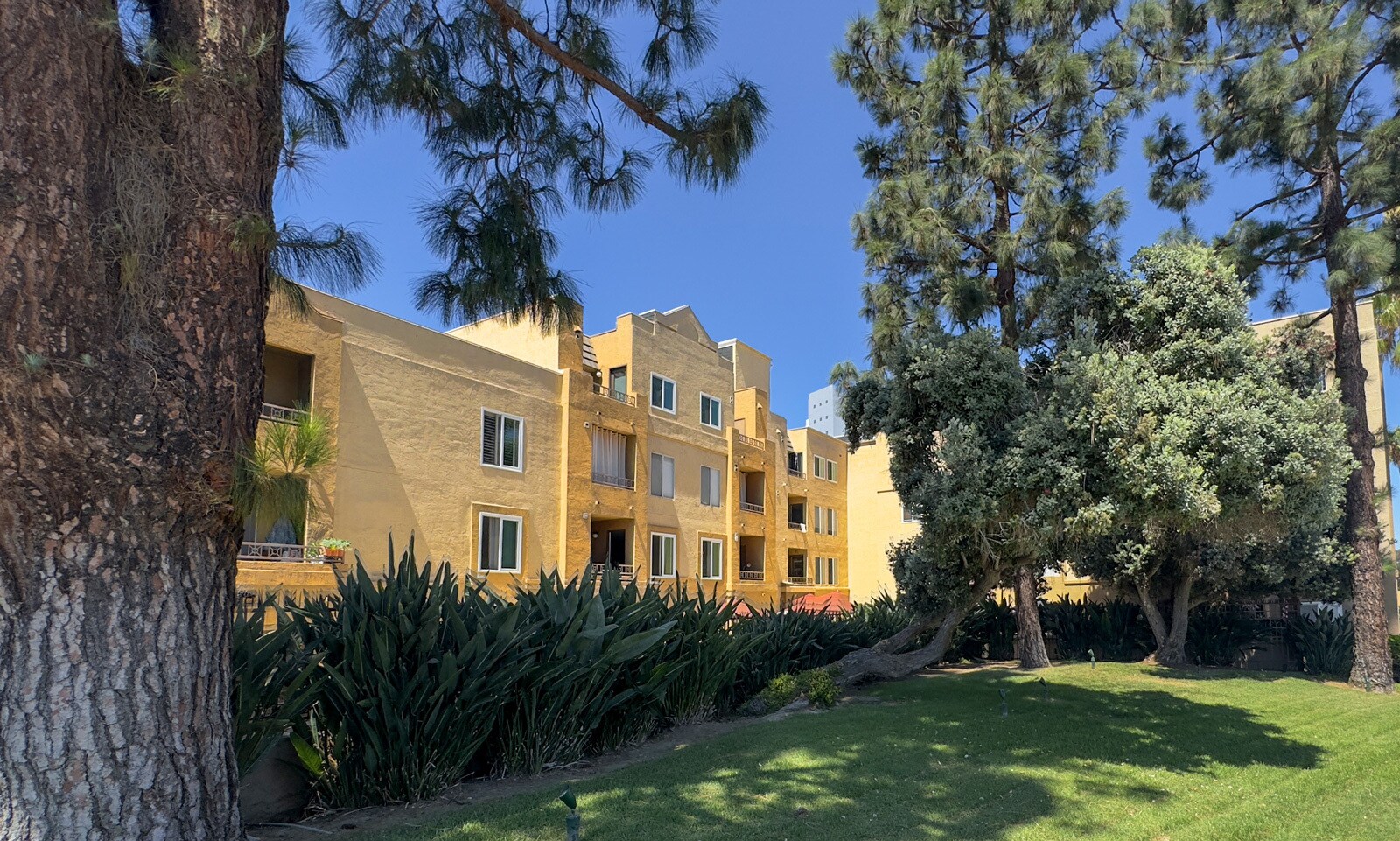 Building Photo - 8889 Caminito Plaza Centro