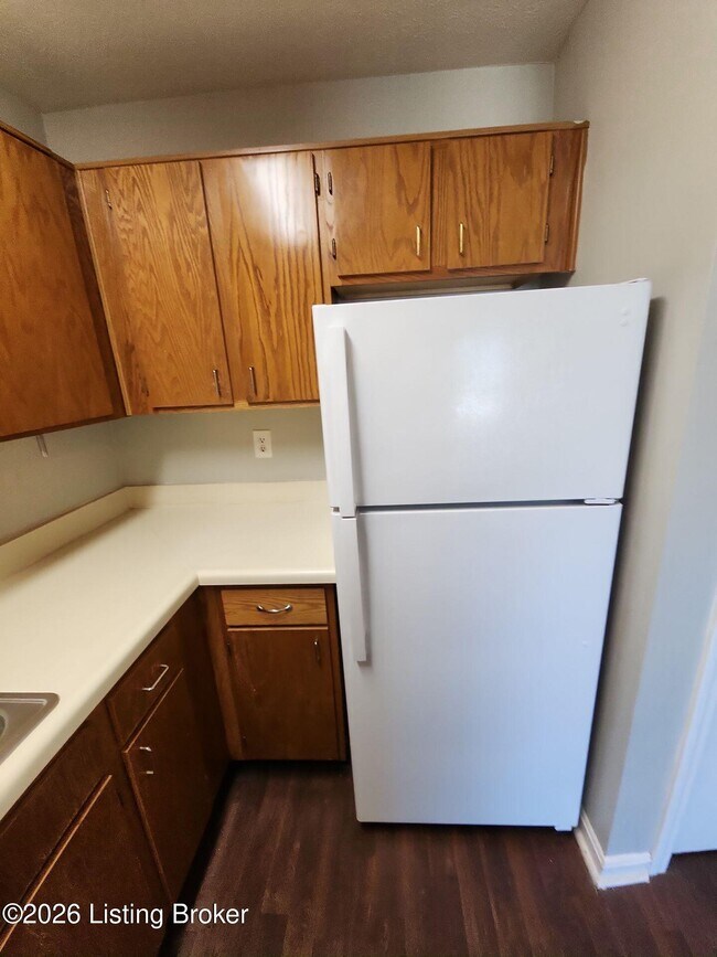Building Photo - 4103 Blue Lick Ct