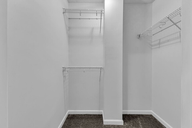 Building Photo - 7717 Porter House Dr