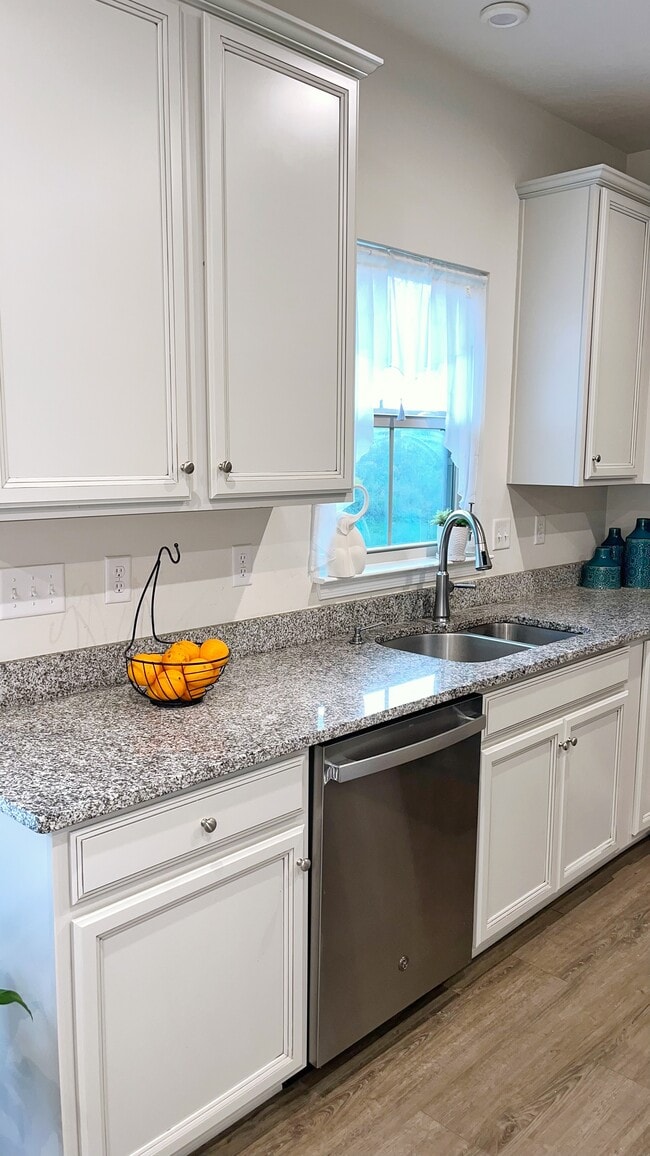 Double Sink & Diswasher - 3005 Lampl Ln