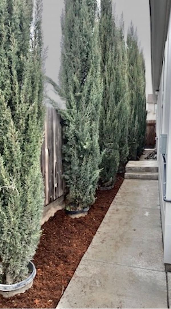 Building Photo - Brand New 2 Bedroom, 1 Bath ADU – Prime Location