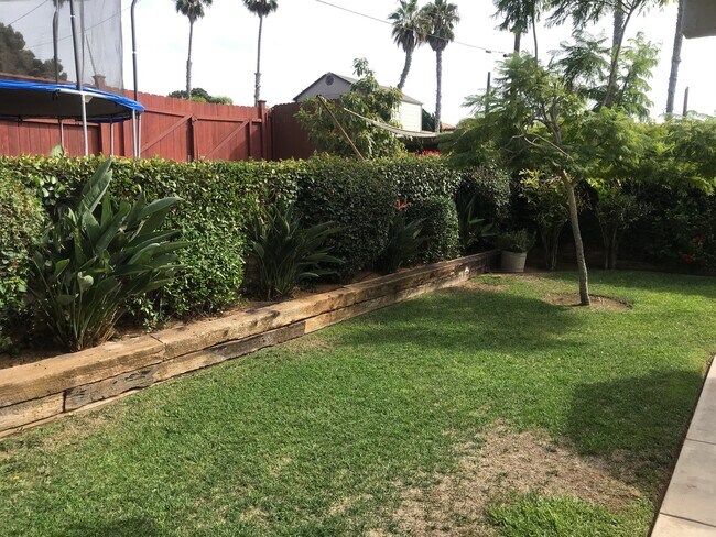 Building Photo - Gorgeous Ocean View Sunset Cliffs Home