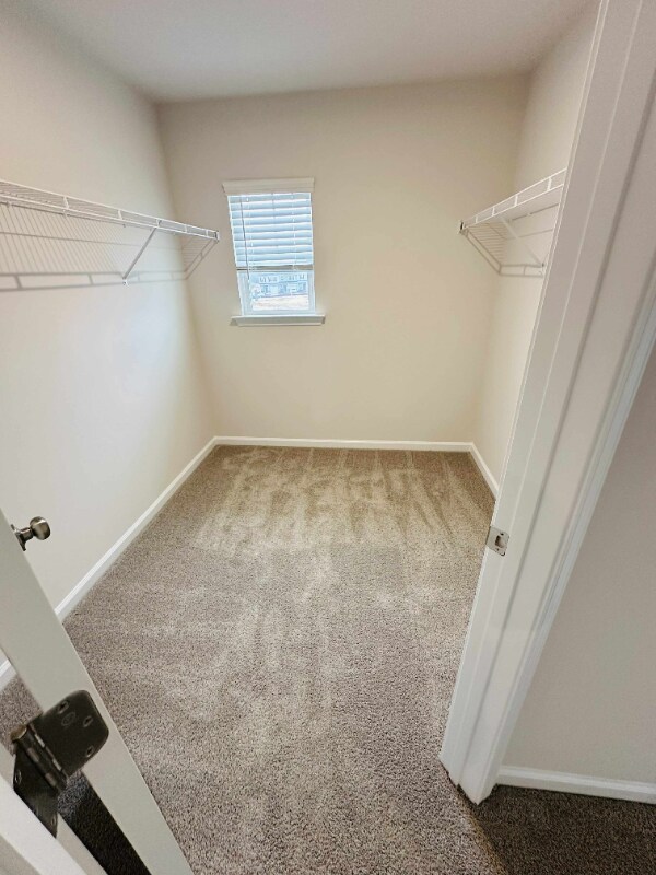 Building Photo - 2041 Dy Lily Dr