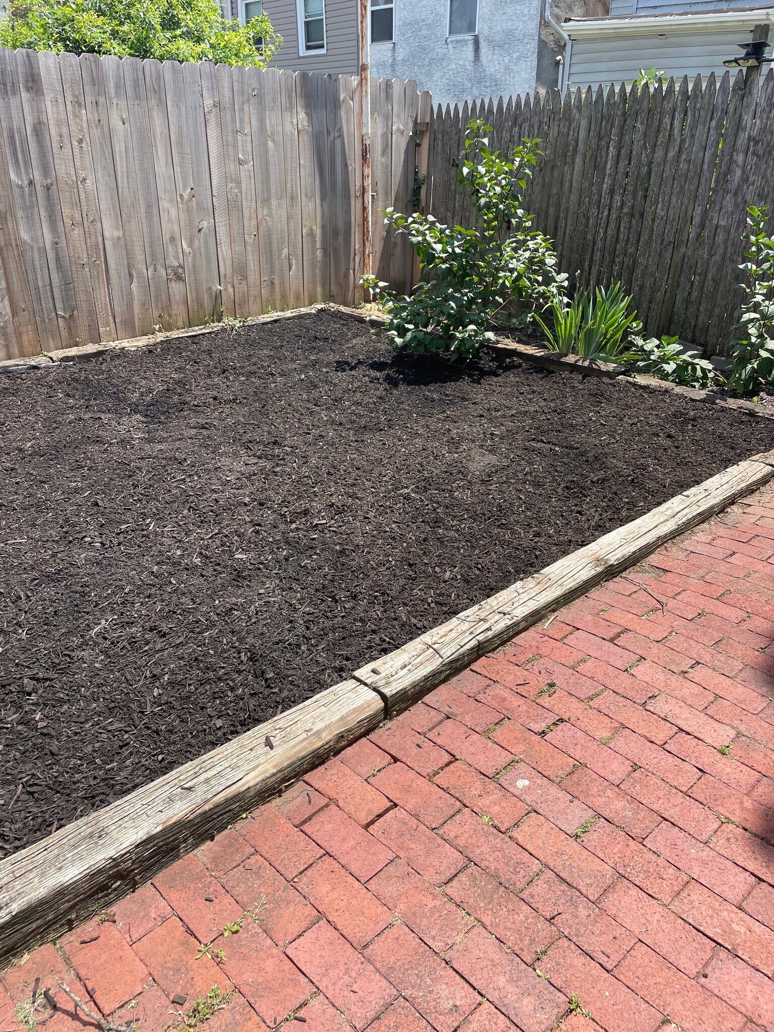 Garden or dog space - 126 W Front St