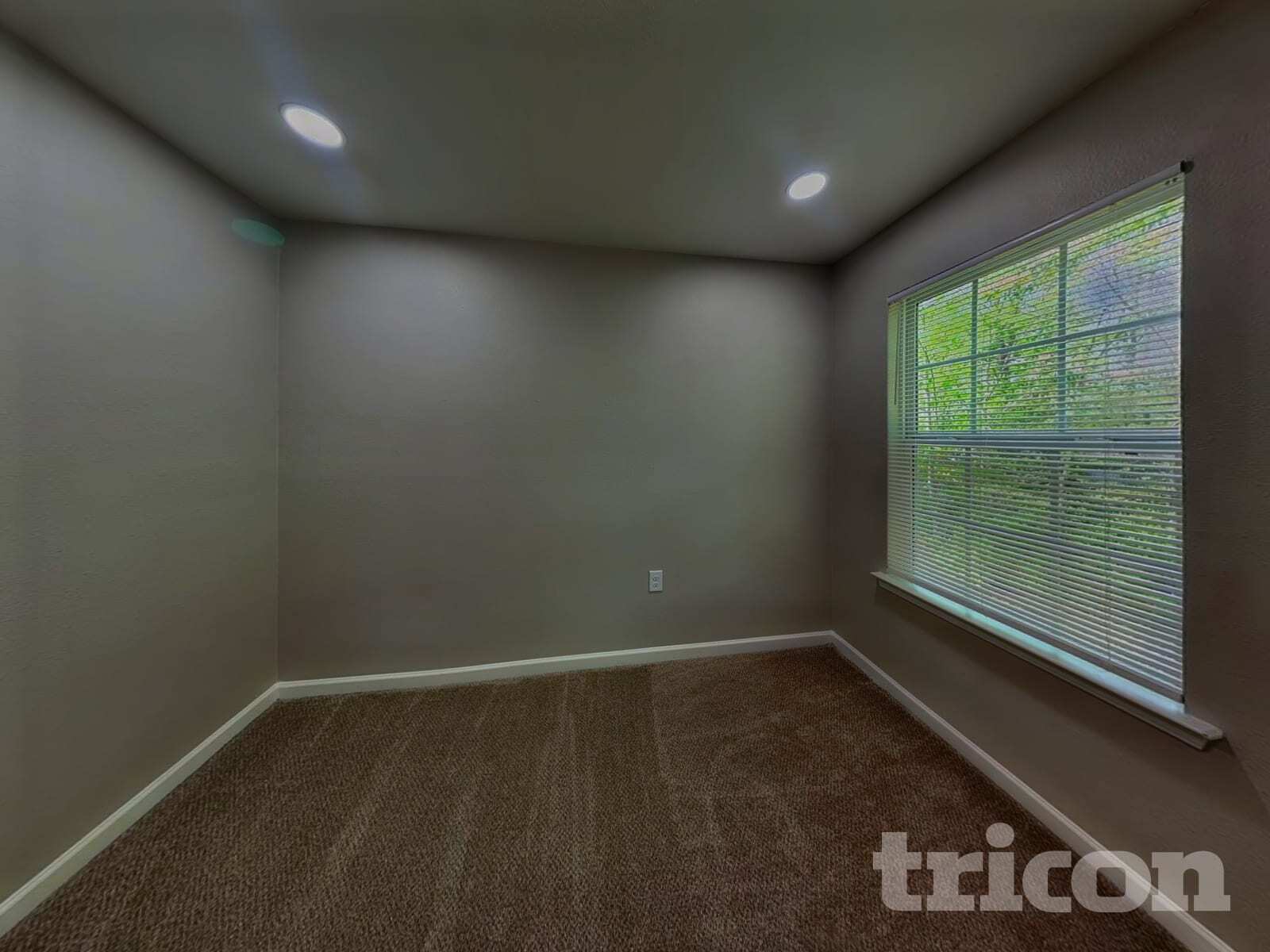 Building Photo - 4936 Broad Leaf Ct