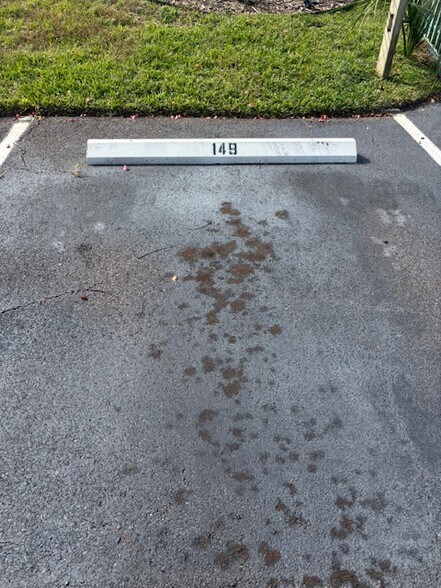 Parking Space in front of Home - 149 Club House Blvd