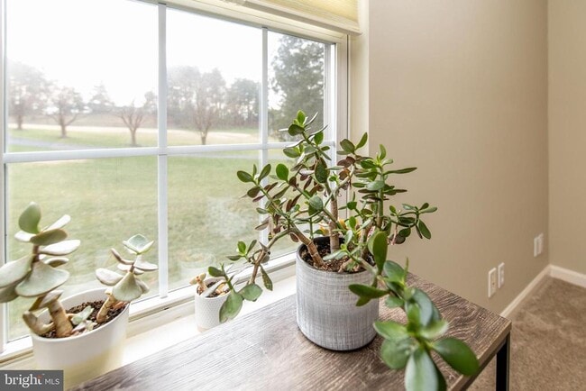 Building Photo - 2743 Rutland Rd