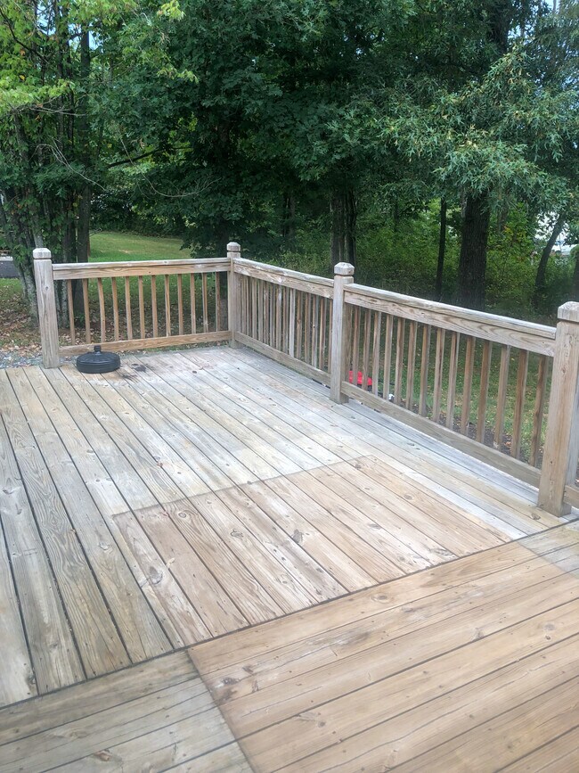 Deck - 237 Alta Ln