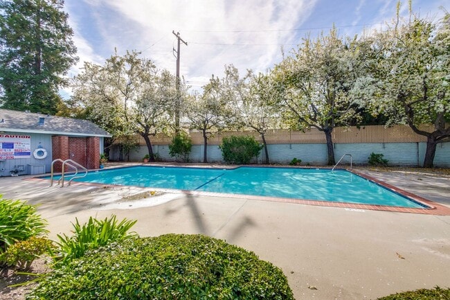 Building Photo - Welcome to this 3 bedroom 2 bath Just updated Townhome located in South San Jose.