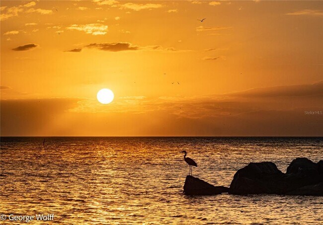 Building Photo - 7000 Beach Plaza