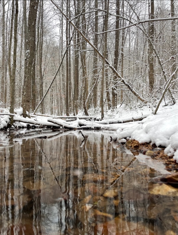 Building Photo - 525 Short Creek Rd