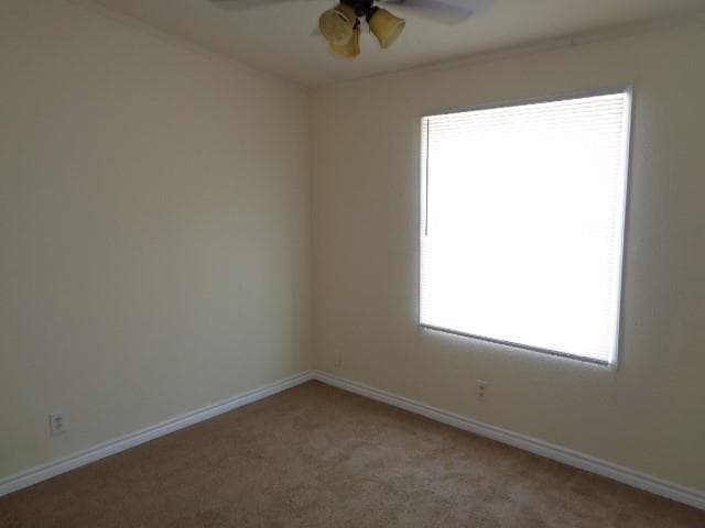 Building Photo - 10027 Berrybriar Ln