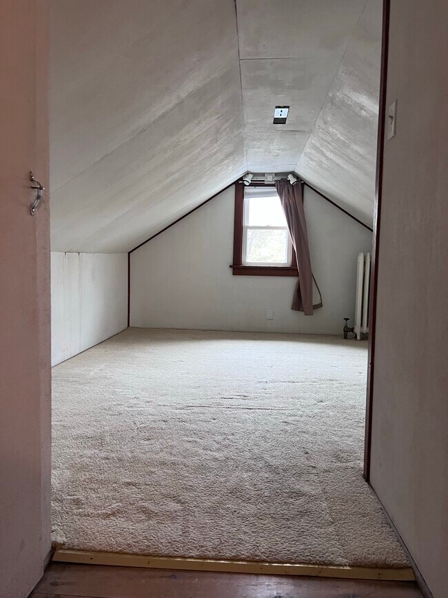 Attic - 627 Knickerbocker St