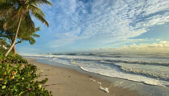 Building Photo - 3606 S Ocean Blvd